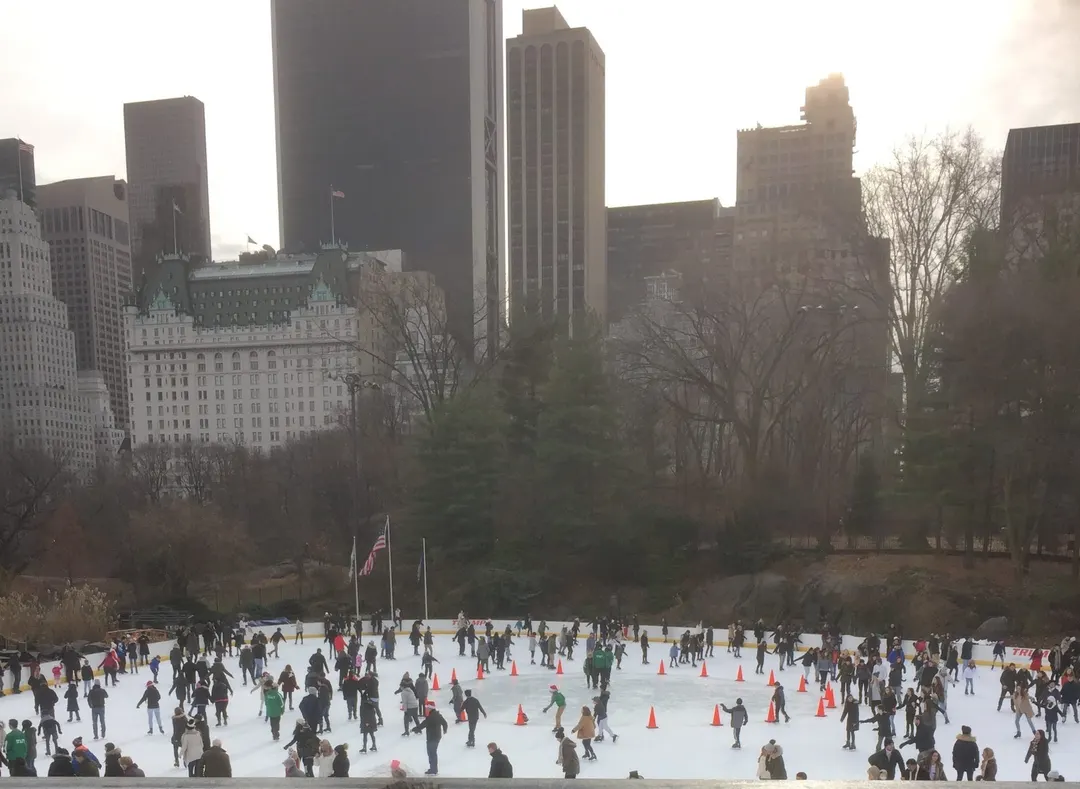 Central Park is 100% fake, and that's the best part