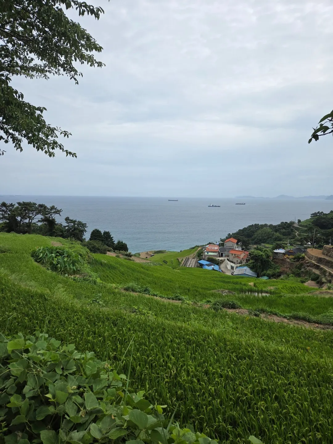 Clapback) The UN named this one of the world's best villages. Your neighborhood might be p