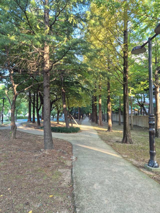 2026-09-08 동네 사진 한장