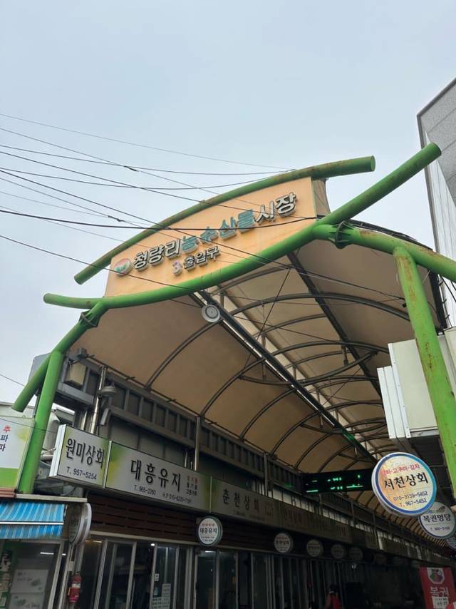 서울 3: 경동시장, 약령시~고려대 (2일차)