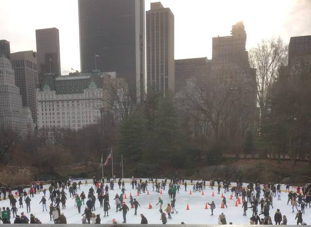 Central Park is 100% fake, and that's the best part